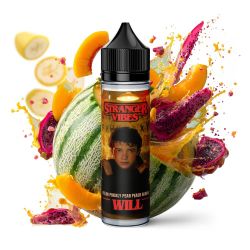 Strangers Vibe WILL - Melon Prickly Pear Peach Banana 6/75ml | BigVapoteur