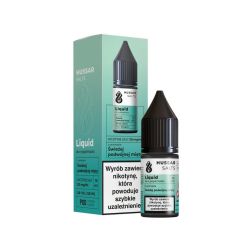 Hussar Salts - Fresh Double Mint 20mg 10ml | BigVapoteur