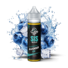 Longfill SIS - Blueberry Ice 14,5/75ml  Bigvapoteur
