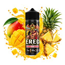 Premix XCalibur 100/120ml – Erec Bigvapoteur