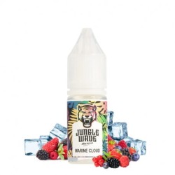 Marine Cloud Flavor - Jungle Wave 10ml | BigVapoteur