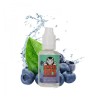 Arôme Vampire Vape - Myrtille 30ml | BigVapoteur