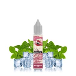 Aisu Eremento Salt - Fresh Mint 20mg 10ml | BigVapoteur