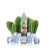 E-liquide Aisu Salt - Cactus 20mg 10ml | BigVapoteur