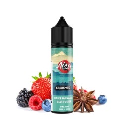 Aisu Eremento - Wild Berries 50/60ml | BigVapoteur