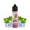 Aisu Eremento - Fresh Mint 50/60ml | BigVapoteur