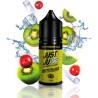 Just Juice - Kiwi & Cranberry On Ice 30ml | BigVapoteur