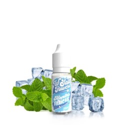 Liquid Menthe Fraîche 10ml - Wsalt Flavour 10mg | BigVapoteur