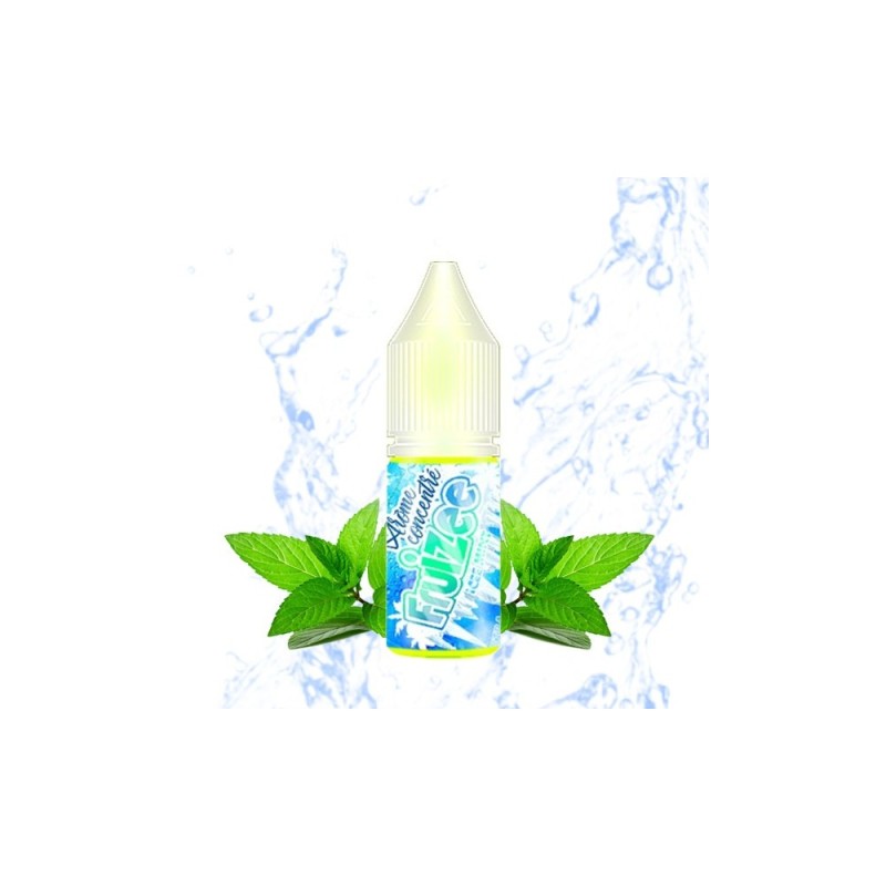 Fruizee 10ml - Icee Mint Flavor | BigVapoteur