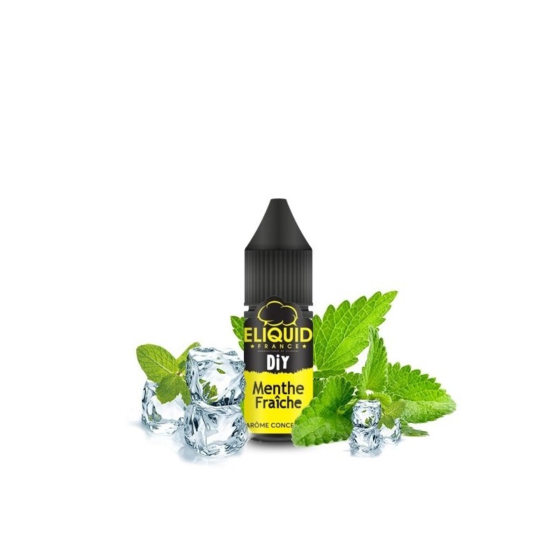 Aromat Biguid France 10ml - Menthe Fraîche | BigVapoteur