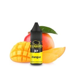 Biguid France 10ml Mango Flavor | BigVapoteur