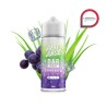 Longfill Just Juice Bar - Raisin Aloe 24/120ml | BigVapoteur