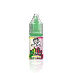 Liquid Lost Daisy Sels de Nicotine 10ml - Kiwi Fruit de la Passion Goyave 20mg | Bigvapoteur