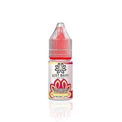 Liquid Lost Daisy Sels de Nicotine 10ml - Fraise Glacée 20mg | Bigvapoteur