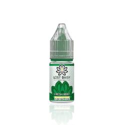 Liquid Lost Daisy Sels de Nicotine 10ml - Menthe Fraîche 20mg | Bigvapoteur