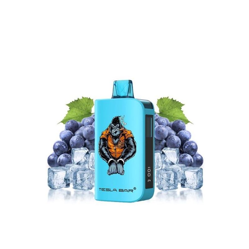Puff ST-10 000 20mg - Tesla Bar - Grape Ice | Bigvapoteur