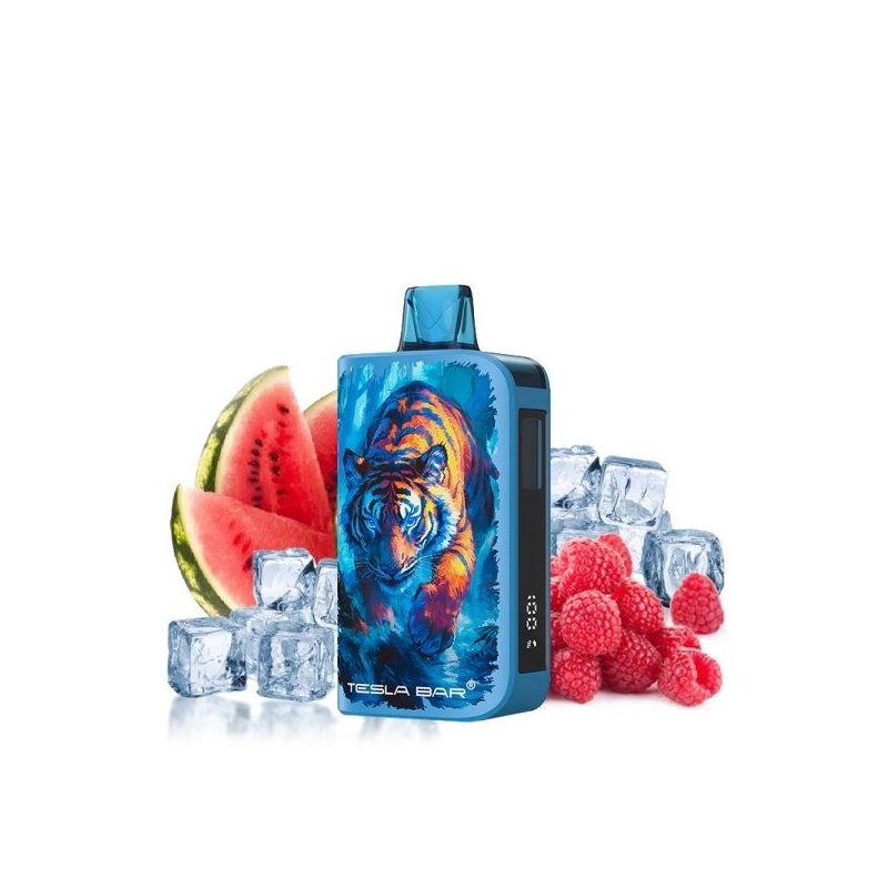 Puff ST-10 000 20mg - Tesla Bar - Raspberry Watermelon Ice | Bigvapoteur