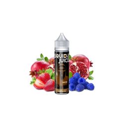 Squid Juice 2 - Master 50/75ml | BigVapoteur