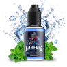 XCalibur - Gaheris 30ml Flavor | BigVapoteur