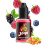 XCalibur - Joys 30ml Flavor | BigVapoteur
