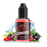 XCalibur - Lamarok Flavor 30ml | BigVapoteur