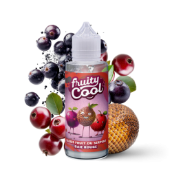Premix Fruity Cool - Cassis Dragon Fruit Red Berry 100/120ml | BigVapoteur