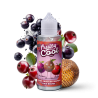 Premix Fruity Cool - CASSIS FRUIT DU SERPENT BAIE ROUGE 100/120ml | BigVapoteur