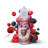 Premix Fruity Cool - FRUITS DES BOIS 100/120ml | BigVapoteur