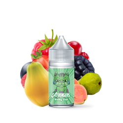 Catvengers - Hulky Cat Flavor 30ml | BigVapoteur