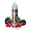 Premix Gates of Vape - Heaven 50/75ml | BigVapoteur