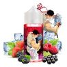Premix Fighter Fuel - Seiryuto 100/120ml | BigVapoteur