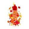 Longfill VAPY Autumn Time - Fruity Lolly 10/60ml | BigVapoteur
