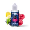 Premix Squid Juice - Triangle 100/140ml | BigVapoteur