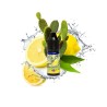 Big Mouth - Lemon Cactus Retro Juice 10ml | BigVapoteur